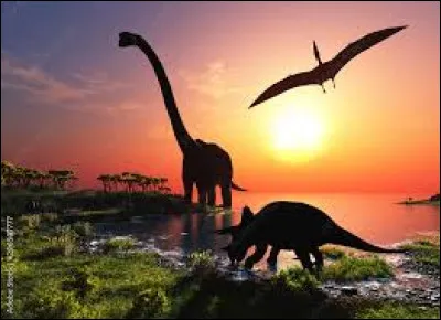 Tous les dinosaures étaient carnivores.