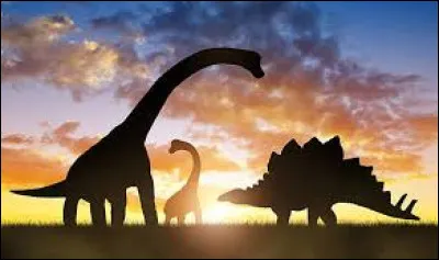 Le Diplodocus était lun des plus grands dinosaures herbivores.