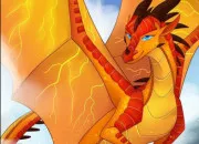 Test Quel dragonnet tes-vous ?