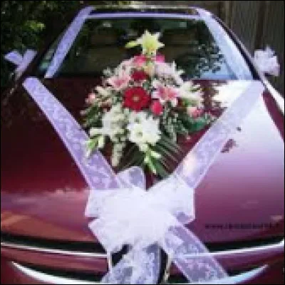 S'il faut jeter des fleurs, c'est sur Rika Zarai, c'est préférable, nous dit celui qu'elle chante, il est de retour. Oui, il est de retour et que fait-elle, comme nous d'ailleurs ?