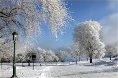 Louis XIV est-il décédé en 1715 ?