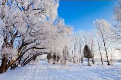 Zola a-t-il écrit "Notre-Dame de Paris" ?