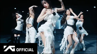 Qui est la visuelle du groupe ?