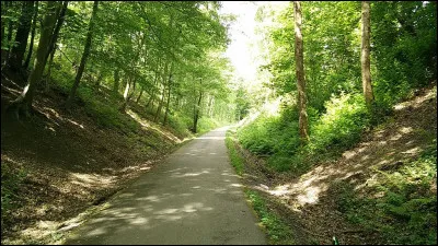 Dans la mythologie celte, de quoi Gofannon était-il le dieu ?