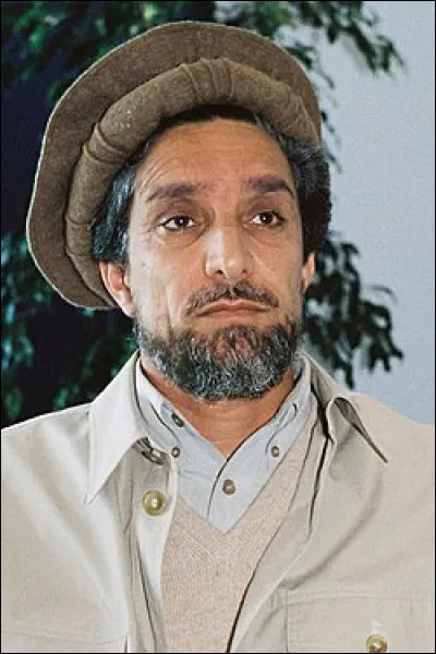 Quel fut le premier des douze travaux d'Hercule ?