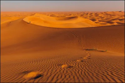 C’est le continent où se trouvent le Nil, le désert du Sahara et la savane du Serengeti. Qui suis-je ?
