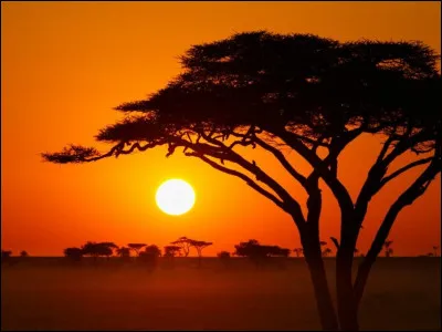 Quel pays est le plus grand producteur de cacao au monde ?