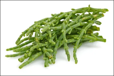 Quel est le nom de cette plante, un légume marin qui pousse dans les zones côtières marécageuses ?