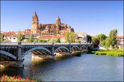 Quel est le nom de cette ville d'Espagne, capitale de la province du même nom en Castille ?