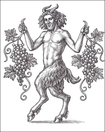 Quel est le nom d'un homme lubrique, exhibitionniste et voyeur ?