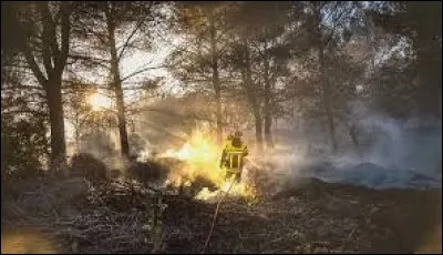 Dans "la cabane du pêcheur", que n'y voyait plus Francis Cabrel pendant qu'il rangeait ses gaules ?