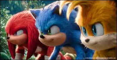 Quel est le nom du hérisson noir rival de "Sonic" ?