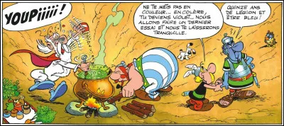 Dans "Le Combat des chefs", quel animal apparaît pour la première fois dans un album d'Astérix ?