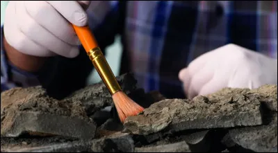 Quelle science a pour sujet détude la Terre ?