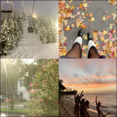 Quelle est ta saison préférée ?