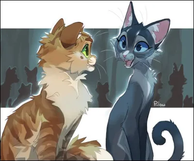 Qui sont ces deux chats ?