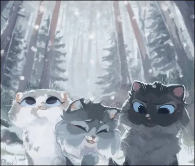 Et ces adorables chatons, quels sont leurs noms ?