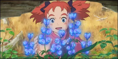 Aimes-tu les fleurs ?