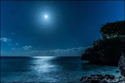 Les Wailers, groupe de reggae, avaient pour leader Jimmy Cliff.