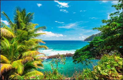 Toussaint Louverture, ancien gouverneur général de Saint-Domingue, était un esclave affranchi.