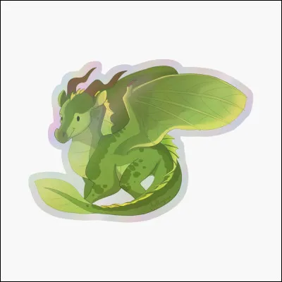 Quelle est cette sorte de dragon ?