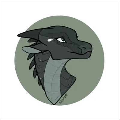 Quel est ce dragon ?