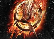Quiz Hunger Games