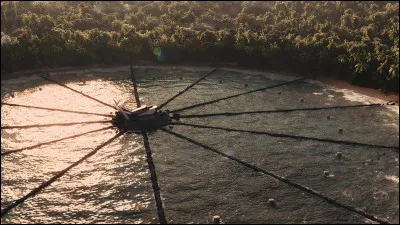 À quoi ressemble l'arène des Jeux de l'Expiation ?