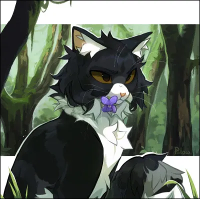 Quel est ton clan préféré ? (2/4)