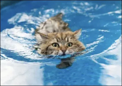 Quel endroit préfères-tu ?