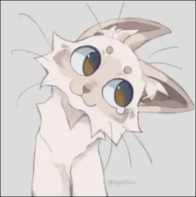 Quel endroit préfères-tu pour dormir ?