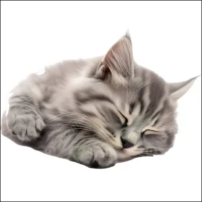 Comment sont les fruits de Nathalie Sarraute dans son livre de 1963 ,