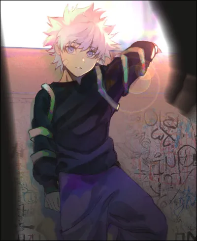 Qui est ce personnage dans "Hunter x Hunter" ?
