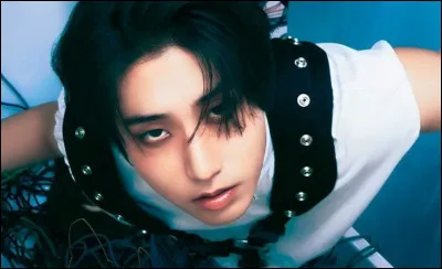 Peux-tu me dire quelle est cette personne sur l'image ?