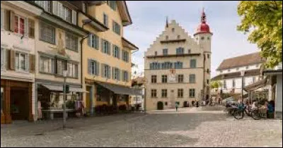Quelle est cette ville de 11 000 habitants, située à proximité du lac de Sempach dans le canton de Lucerne ?