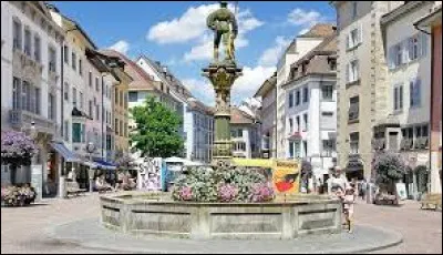 Quelle est cette ville de 38 000 habitants, située au nord du pays, à proximité des chutes du Rhin ?