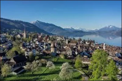 Quelle est cette ville de 32 000 habitants, située dans le nord est de la Suisse en bordure du massif alpin, chef-lieu du canton qui porte son nom ?