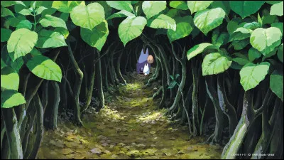 Quel est ton film préféré du Studio Ghibli ? 4/4