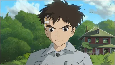 Quel est ton film préféré du studio Ghibli ?