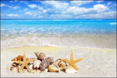 Je sens que ce soir je vais conclure !