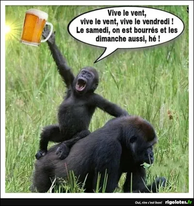 C'est le vent qui nous parle - Et ... il nous dit quoi ? Je n'sais pas, je n'parle pas le vent !