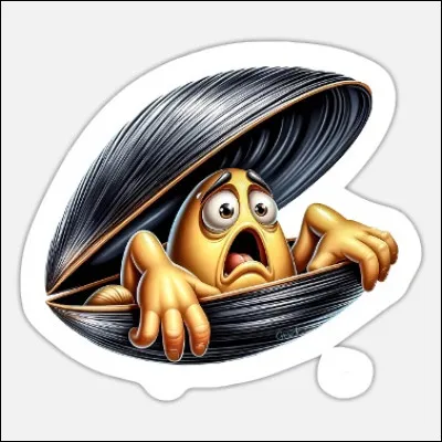 Tu connais la différence entre une moule et un pull-over ? ... Bah un pull-over ça moule et une moule ça pue l'ovaire !