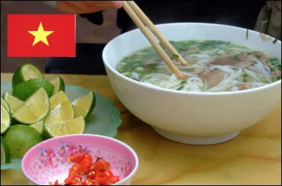 De quel pays est originaire le phô, une soupe à base de bouillon, de viande et de nouilles de riz ?