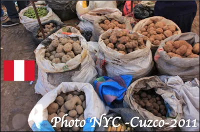 De quel pays est originaire la pomme de terre ?