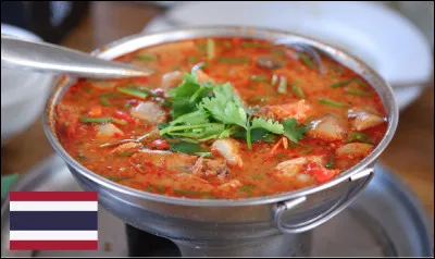 De quel pays est originaire le tom yum, une soupe aigre, épicée, pimentée avec de la viande, du poisson où des crevettes ?