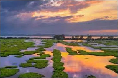 Je vous propose de faire une halte dans la réserve naturelle du marais d'Orx. Commune de l'arrondissement de Dax, elle se situe dans le département ...