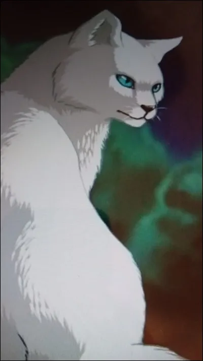 Qui est le neveu d'Étoile de Feu ?