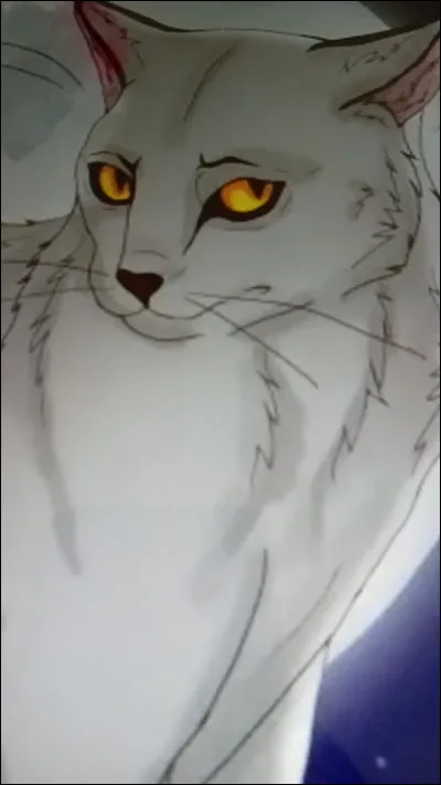 Qui fut le premier lieutenant d'Étoile de Feu ?