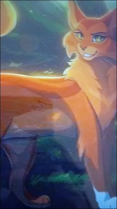 Qui sont les filles d'Étoile de Feu ?