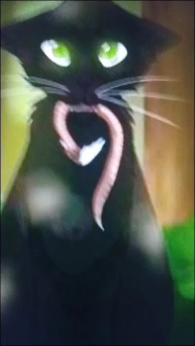 Qui est l'ancien apprenti du clan du Tonnerre qui a dû quitter son clan suite aux menaces d'Étoile du Tigre ?